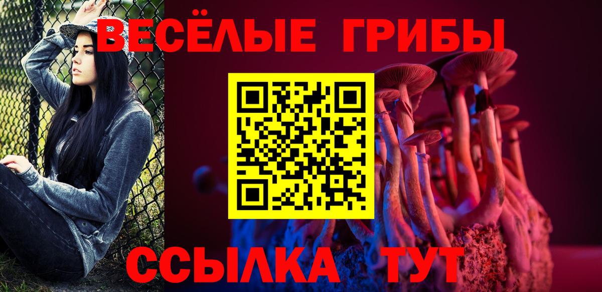 Псилоцибиновые грибы Cubensis  Вход с VPN  Ачхой-Мартан 