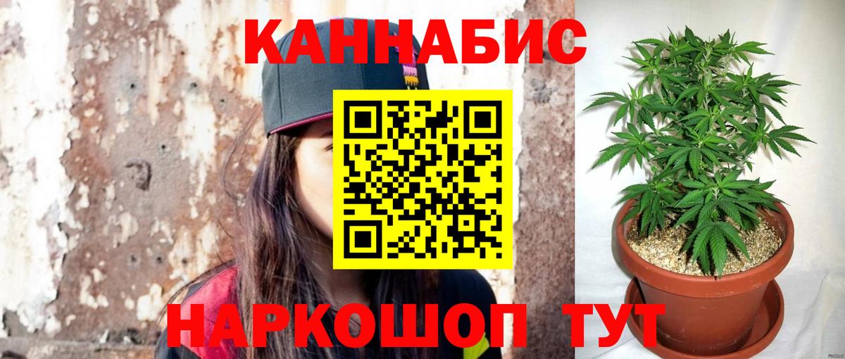Бошки Шишки VHQ  Бошки Шишки White Widow  Ачхой-Мартан  МАРИХУАНА план  Вход с VPN  Шишки марихуана VHQ 